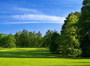 Działki